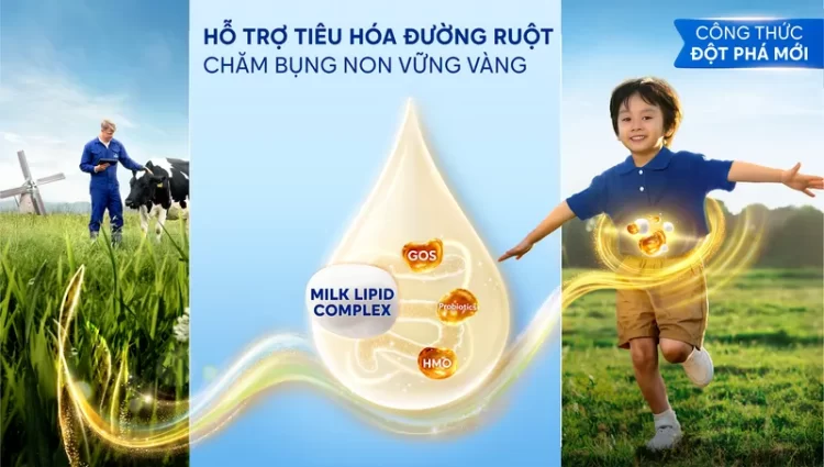 Hệ miễn dịch: Sự hỗ trợ từ phức hợp HMO và lợi khuẩn